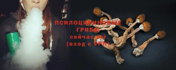 apvp Аркадак