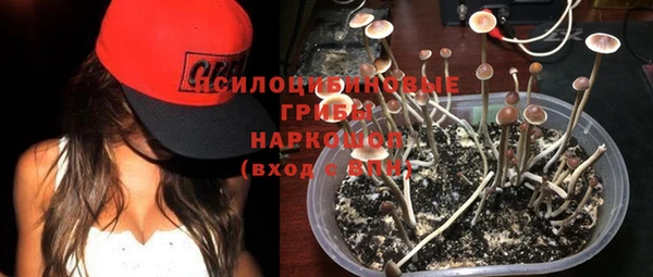 хмурый Армянск